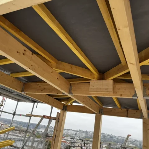Dépendance en ossature bois et couverture en zinc Poissy 78300 - photo 16